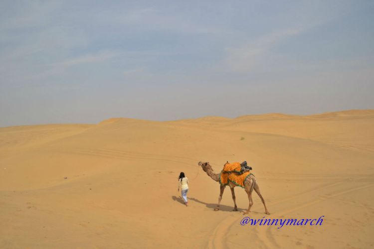 camel safari in india