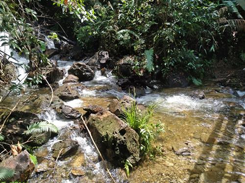 Hidden Treasures from Sumatra - Robo Waterfall / Les trésors cachés de Sumatra - Cascade de Robo